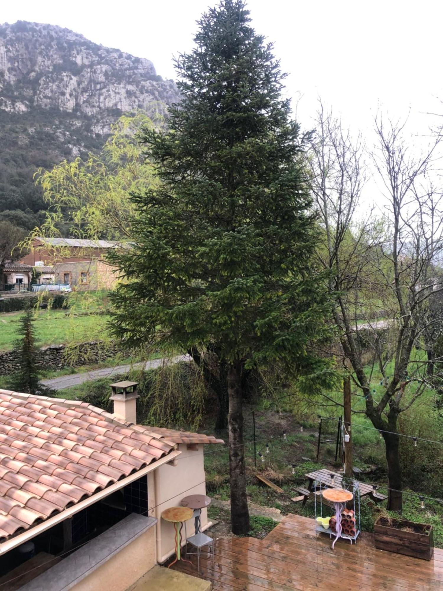 Auberge De La Vallee Saint-Jean-de-Bueges Екстер'єр фото